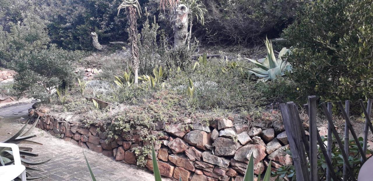 Crashing Waves Self Catering Unit Hotel Port Alfred Eksteriør billede
